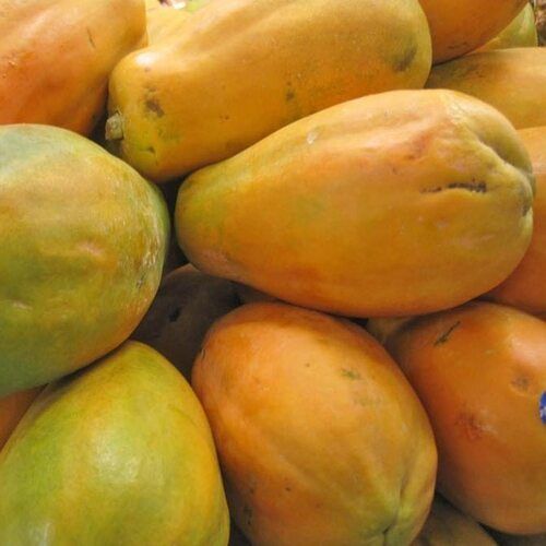 Easy To Digest Healthy Rich Delicious Natural Taste Yellow Fresh Papaya Origin: India