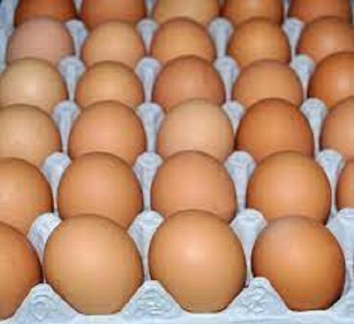 Farm Fresh Chicken Country Egg