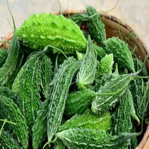 Floury Texture Healthy Natural Rich Taste Green Fresh Bitter Gourd