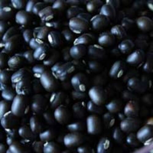 Healthy Natural Taste Rich in Protein Dried Black Whole Urad Dal