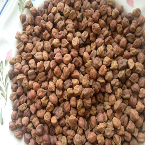 Rich Protein Delicious Natural Rich Taste Healthy Dried Brown Chickpeas