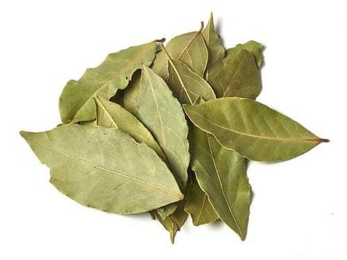 100% Organic Farm Fresh Green Bay Leaf Tej Patta And Cinnamon