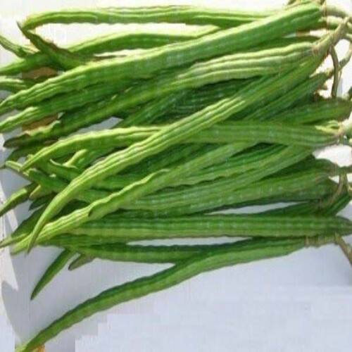 High Fiber No Artificial Color Healthy Natural Rich Taste Green Fresh Drumsticks