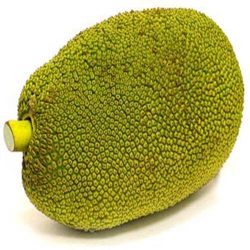 No Artificial Color Rich Healthy Natural Delicious Taste Green Fresh Jackfruit