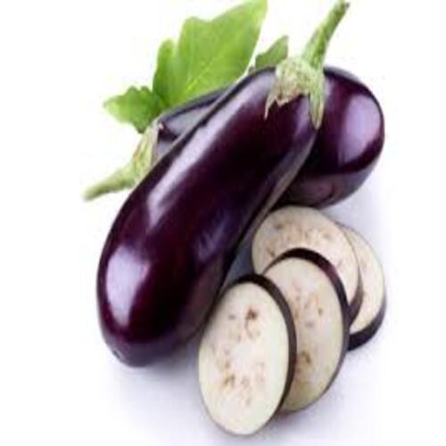 Healthy Natural Rich Fine Delcious Taste Purple Fresh Brinjal