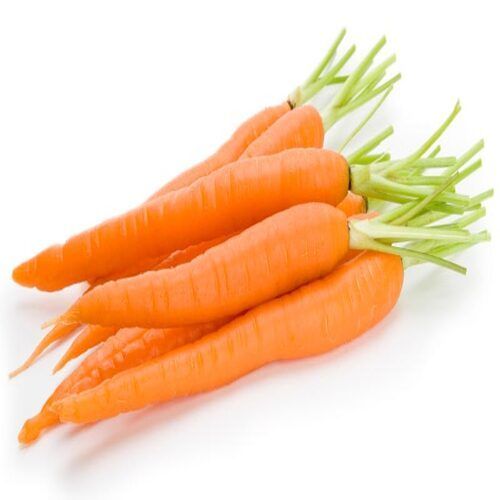 High Fiber Healthy Natural Rich Delicious Taste Orange Fresh Carrot
