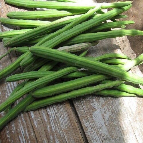 High Fiber No Artificial Color Healthy Natural Rich Taste Green Fresh Drumsticks