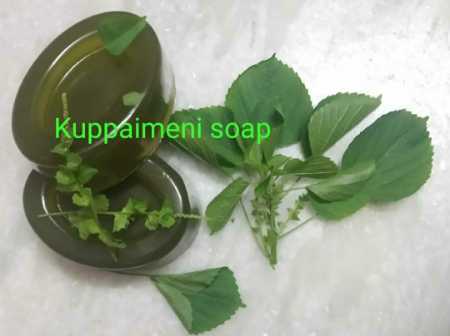 Natural and Herbal Handmade Kuppaimeni Bath Soap With Rich Insecticidal Properties