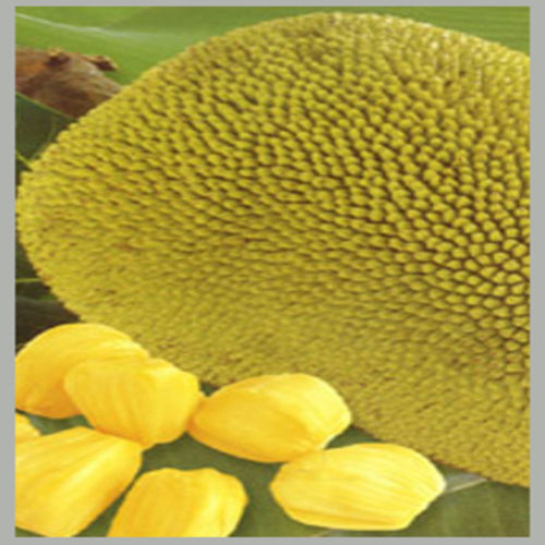 Chemical Free Rich Healthy Natural Fine Delicious Taste Fresh Jackfruit