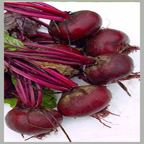 Natural Rich Taste Chemical Free Healthy Organic Fresh Red Beetroot