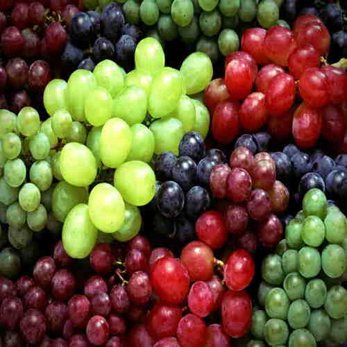 Green No Artificial Color Chemical Free Rich Sweet Delicious Taste Fresh Grapes