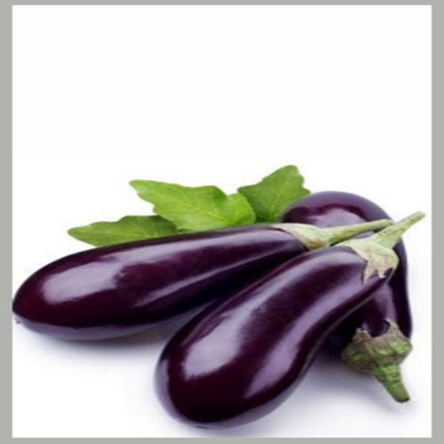 No Artificial Color Healthy Delcious Natural Rich Fine Taste Purple Fresh Brinjal