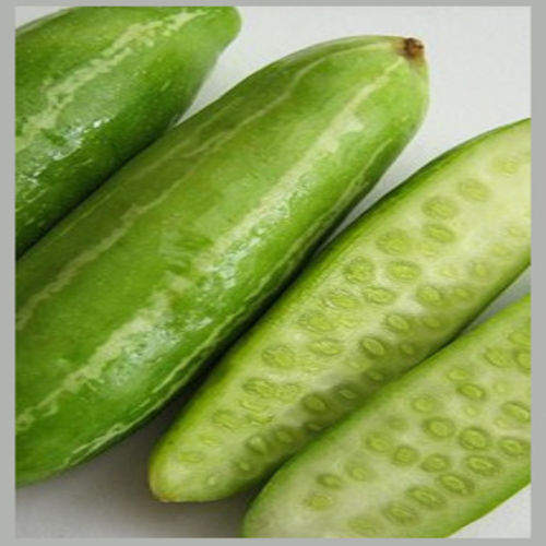 No Artificial Color Healthy Natural Rich Taste Green Fresh Gherkins