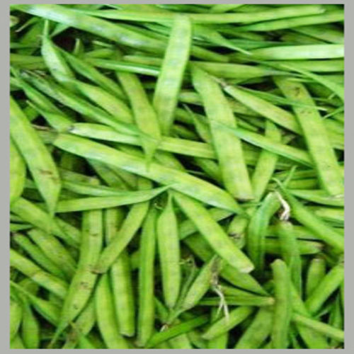 Chemical Free High Fiber Healthy Natural Taste Green Fresh Cluster Beans Application: Industrial