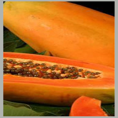 Easy to Digest Healthy Rich Delicious Natural Taste Fresh Papaya