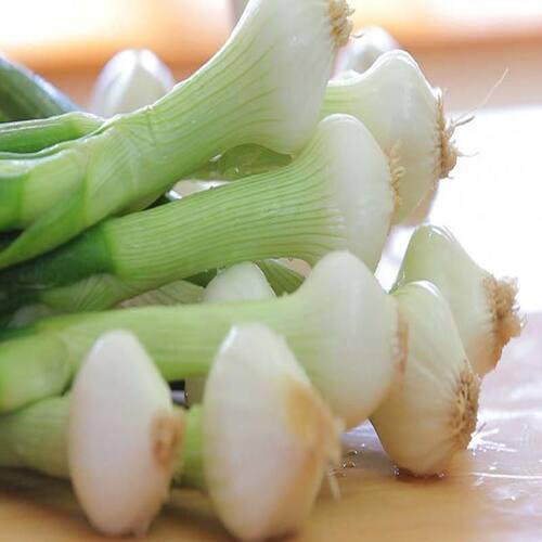 Enhance The Flavor Rich Healthy Natural Taste Fresh Spring Onion