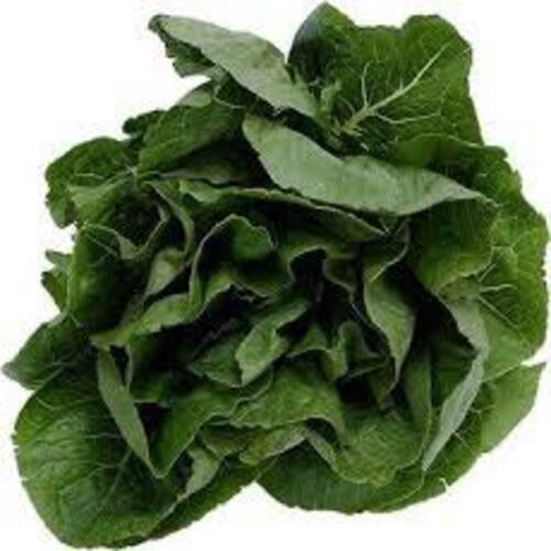Healthy Natural Rich Taste Chemical Free Green Fresh Spinach Leaves