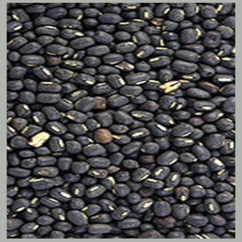 Healthy Natural Taste Rich in Protein Dried Black Whole Urad Dal