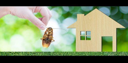 Herbal Pest Control Service