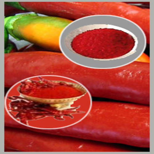 Hot Spicy Natural Taste Rich Color Dried Red Chilli Powder