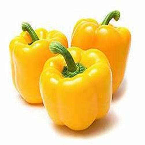 Natural Fine Rich Taste Chemical Free Healthy Yellow Fresh Capsicum