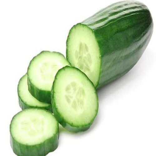 High Fiber Chemical Free Healthy Natural Rich Taste Green Fresh Cucumber