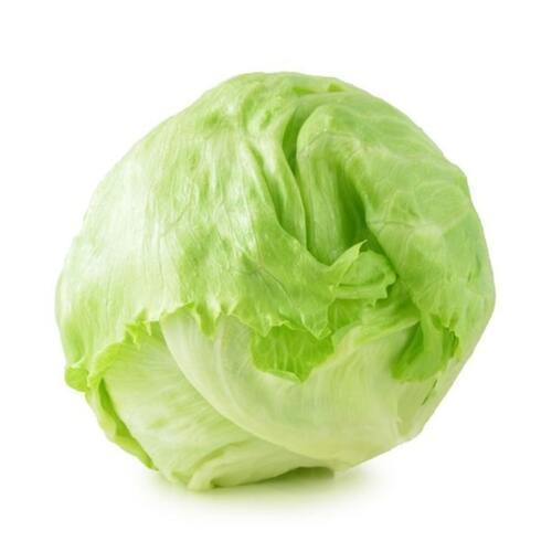 Round & Oval High Fiber Chemical Free Healthy Natural Taste Green Organic Fresh Iceberg Lettuce