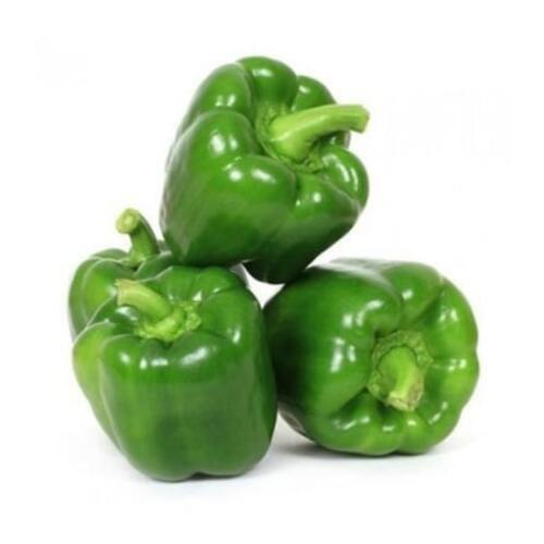 Natural Fine Rich Taste Chemical Free Healthy Fresh Green Capsicum Shelf Life: 3-5 Days