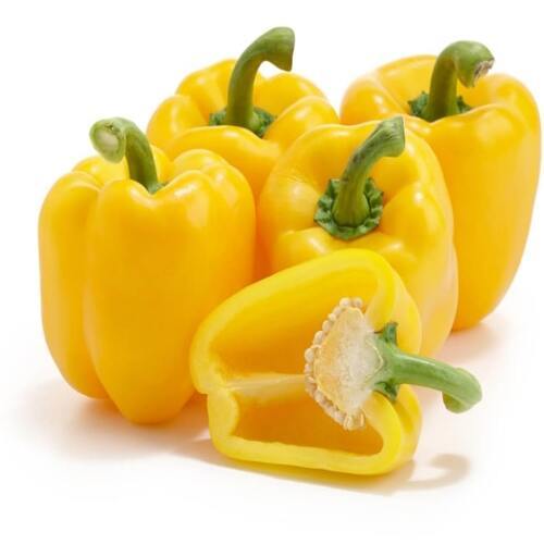 Natural Fine Rich Taste Chemical Free Healthy Organic Fresh Yellow Capsicum Shelf Life: 1-3 Days