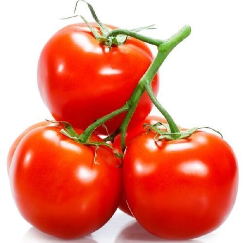 No Artificial Color Mild Flavor Healthy Natural Taste Red Fresh Tomato