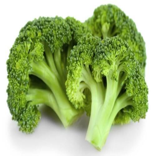 Rich Natural Taste Chemical Free Healthy To Eat Green Fresh Broccoli