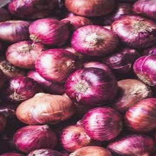100% Organic Farm Fresh Raw Red Onion Pungent In Taste Cure Heart Diseases