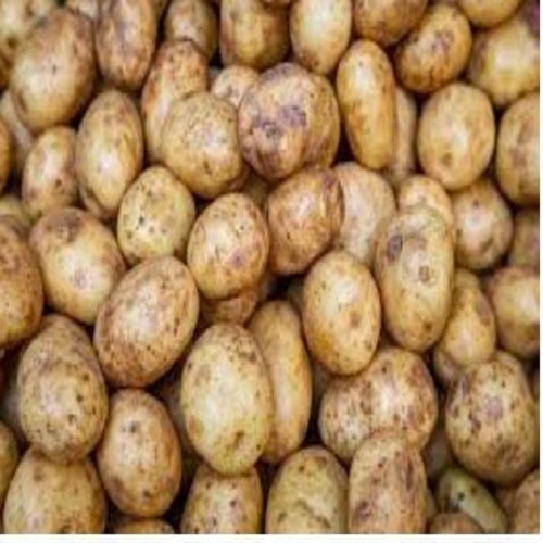 A Grade Fresh Potato - Seasoned Dried Potato, Long Shelf Life, Hygienically Packed, Tested Health Benefits