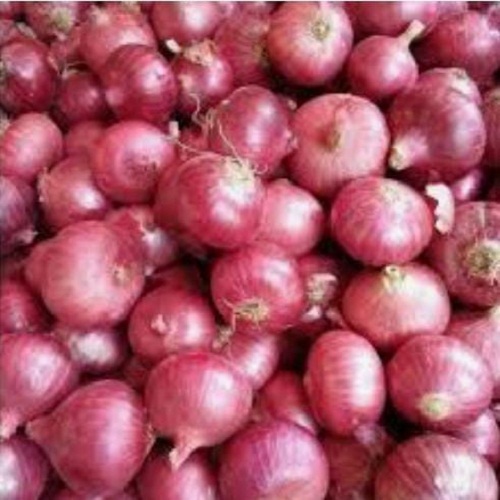 Fresh Red Onion - Dried, Seasoned with 13-30% Moisture | Long Shelf Life, Hygienically Packed, Healthy Option