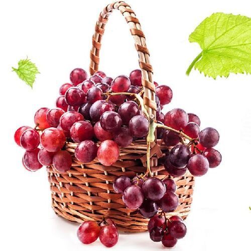 Juicy Rich Delicious Natural Taste Chemical Free Healthy Fresh Red Grapes Origin: India