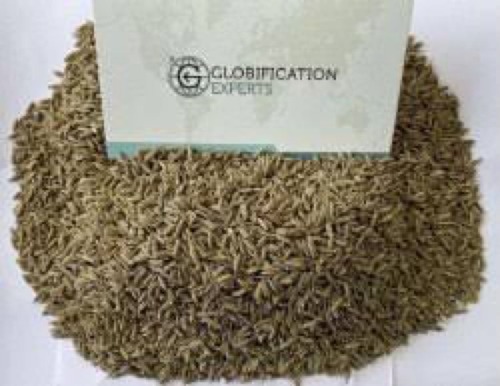 भूरा 100 प्रतिशत प्राकृतिक और शुद्ध जीरा बीज