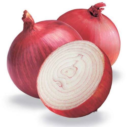 Enhance The Flavor Rich Healthy Natural Taste Fresh Red Onion