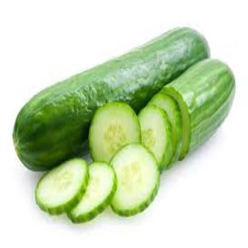 High Fiber Chemical Free Healthy Natural Rich Taste Green Fresh Cucumber