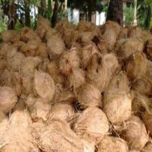 Natural Rich Taste Free From Impurities Healthy Brown Semi Husked Coconuts