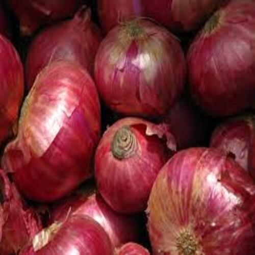 Round & Oval Enhance The Flavor Rich Healthy Natural Taste Red Fresh Onion