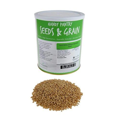 Non-Gmo Organic Whole Wheat Kernels - Hard White Wheat Grain And Heirloom Broken (%): 3%