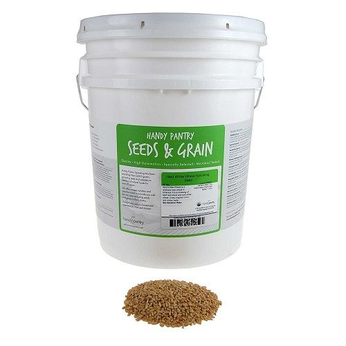 Non-Gmo Organic Whole Wheat Kernels Hard White Wheat Grain And Heirloom Wheat Seeds