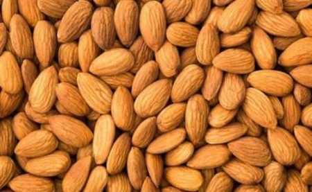 Wholesale Price Export Quality California Almond