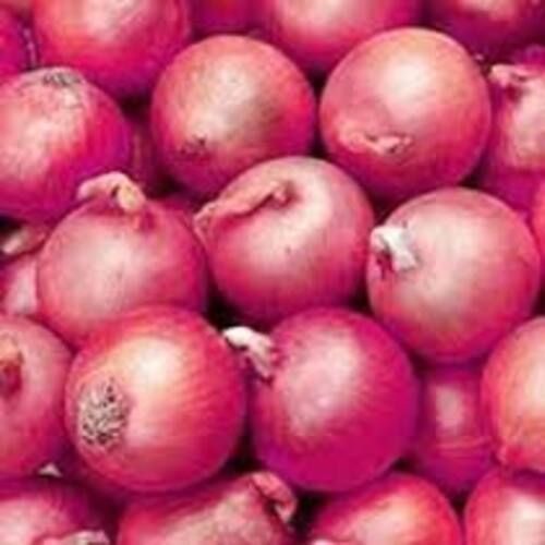 Chemical Free Enhance The Flavor Rich Healthy Natural Taste Fresh Pink Onion