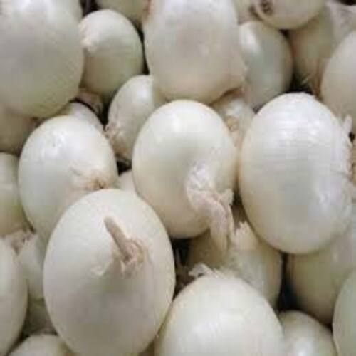 Enhance The Flavor Rich Healthy Natural Taste Organic Fresh White Onion