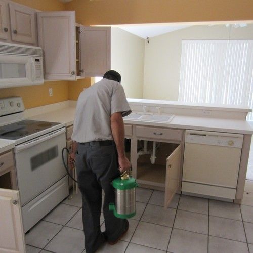 Kitchen Pest Control Services