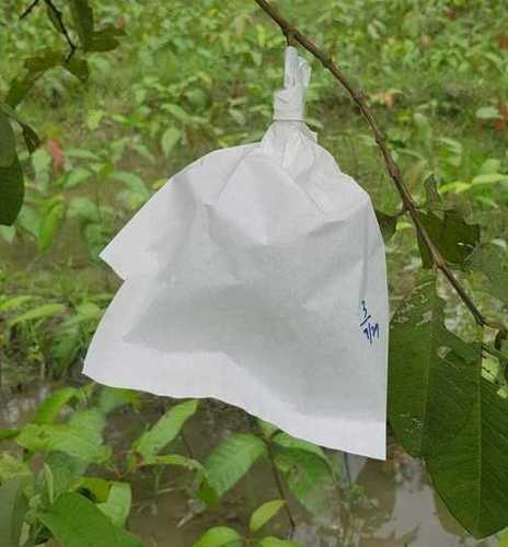 Light Weight White Color Fruit Protection Plastic Packaging Bag