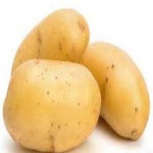 Round & Oval Mild Flavor Chemical Free Rich Natural Delicious Taste Brown Fresh Potato