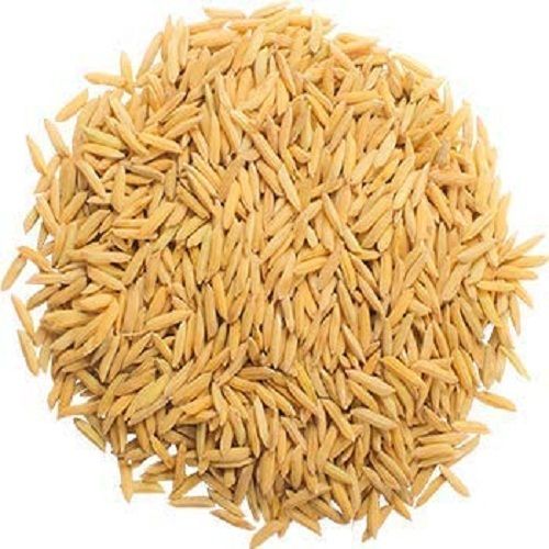 White Organically And Hygienically Cultivated Natural Indian Style Paddy Rice Seed