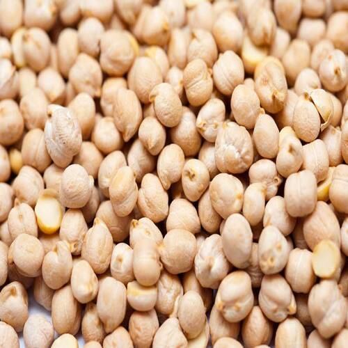 Rich Protein Delicious Natural Rich Taste Healthy Dried White Chickpeas